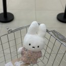 도란스토어 | [공지] 성수 서울 미피스토어 후기 | 미피스토어 서울