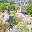 강원도립화목원 | [공지] 춘천 여행코스🌷 강원도립화목원 튤립, 공지천 벚꽃, 제이드가든 봄꽃