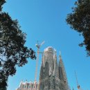 궁전컴퓨터세탁 | [트래블비아 후기] 스페인 13일 with 고성호텔 11기