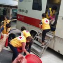 세탁하는날 이미지