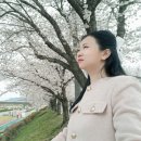 말(speak)은 무기다. (영상글 첨부) 이미지