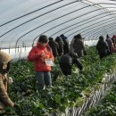 가남정보화마을 이미지