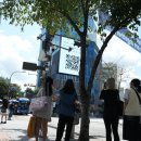 육회임당 이미지