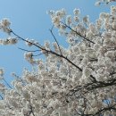 김여사공인중개사사무소 이미지