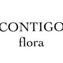 꼰띠고1 이미지