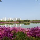 쌍암공원2 이미지