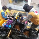 사랑세탁 이미지