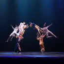 공중화장실(동춘서커스) | 동춘서커스 완벽 안내｜70년 전통의 명품 공연, 관람팁·후기 총정리