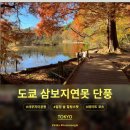 삼보빌딩 | 도쿄 단풍 명소 샤쿠지이 공원 삼보지연못, 현지인만 아는 힐링 산책로