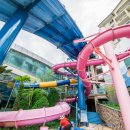 골드스파 이미지