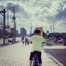 고령 삼천리 자전거 이미지