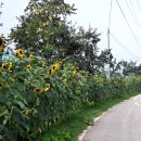 송정2리 이미지