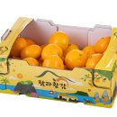 황감 | 탐라황감 당도선별 감귤 살까 말까? 고민 해결해 주는 실제 사용자 평점 및 장단점 총정리