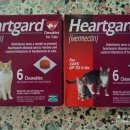 메디팜 고성왕약국 이미지