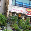 상록수마트정육