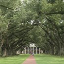 오크앨리 이미지