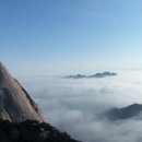 안경박사 이미지