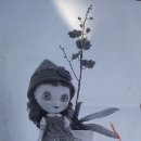 성북-돈암-2011 이미지