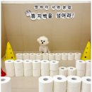 부산애견호텔 애견유치원 맘바이 서면본점 이미지