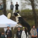 자연로하스 이미지