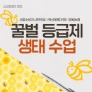 서울중화초등학교 | [꿀벌 등급제 | 생태수업] [서울소비자시민모임 | 축산물평가원| 양봉농협 ]이 함께 기획 준비한 수업...