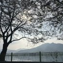 26개월 아기와 함께한 북한강 드라이브 &amp; 조안 사계절 찐빵만두 후기