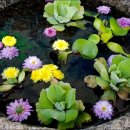 과역면사무소 이미지