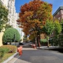 건영단지내공인중개사사무소 이미지