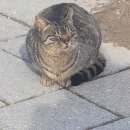 연세대서점 이미지