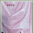 현대매듭 | 정해연 추리소설 『매듭의 끝』 후기 (스포주의)