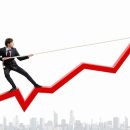 엘바이오 이미지