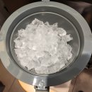 콩담이네 10월 2주차 이번주엔 신나는 캠핑!