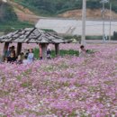 코스모스산업