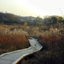 패랭이공원 이미지