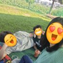 팽성남산4길 | 평택 별농장으로 체리 따기 체험하러 다녀왔어요