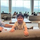 델피노 | 10개월 아기랑 고성 소노펠리체 델피노 후기｜골드파노라마 객실,인피니티풀,조식,아기용품 대여