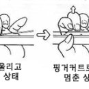 커팅(Cutting), 뮤트 (Muting) & 카포 (Capo) 사용법 및 활용 이미지