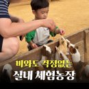 농장 | 부천 나눔농장 후기🐐 아이와 실내 동물체험!