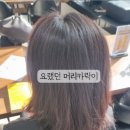 헤어클럽나토야