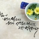 행복한나날