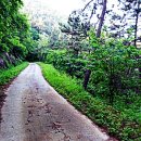 창선치안센터 이미지