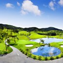 T골프존 이미지