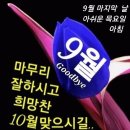 9월.30일 목요일 간추린 뉴스 이미지