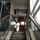 메가박스 원주센트럴 (방문후기 + 주차) + 영화 엘리멘탈 간단후기