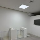 댕그루루 이미지