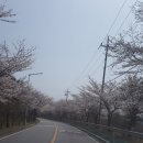 남양지물