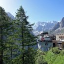 자라는나무 이미지