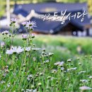 해오름한식당 이미지