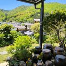 리틀 포레스트 펜션 이미지