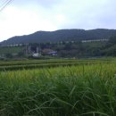 무곡경로당 이미지